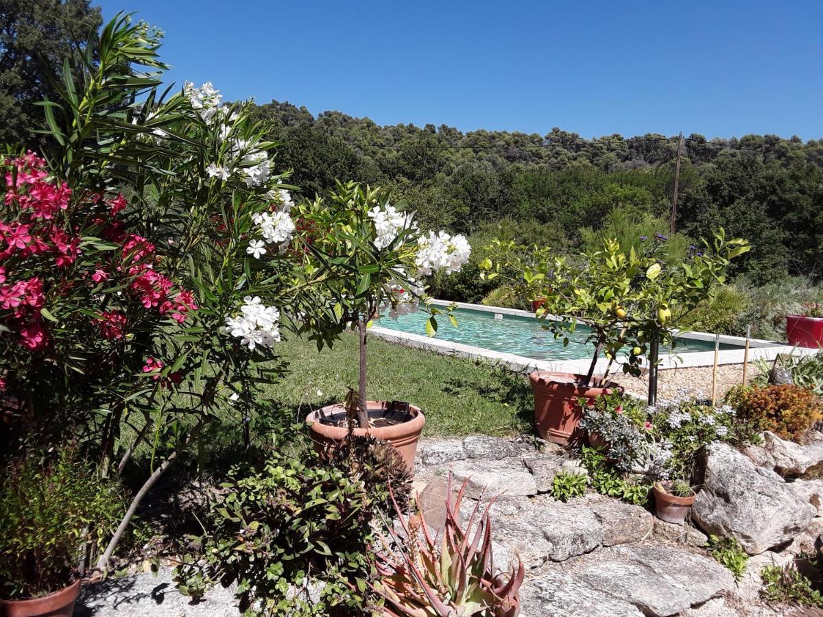 La Petite Maison Vaugines Luaran gambar